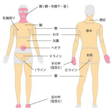 メンズ脱毛施術箇所一覧