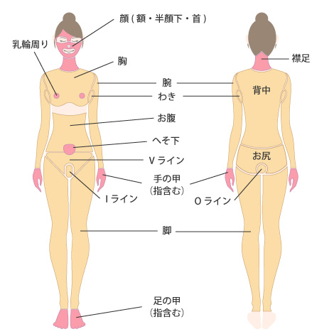 レディース脱毛 脱毛箇所一覧